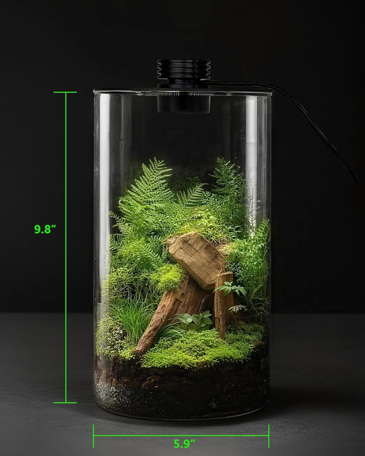 Indoor Glass Terrarium with Gr - огляд і ціна Planted Tank