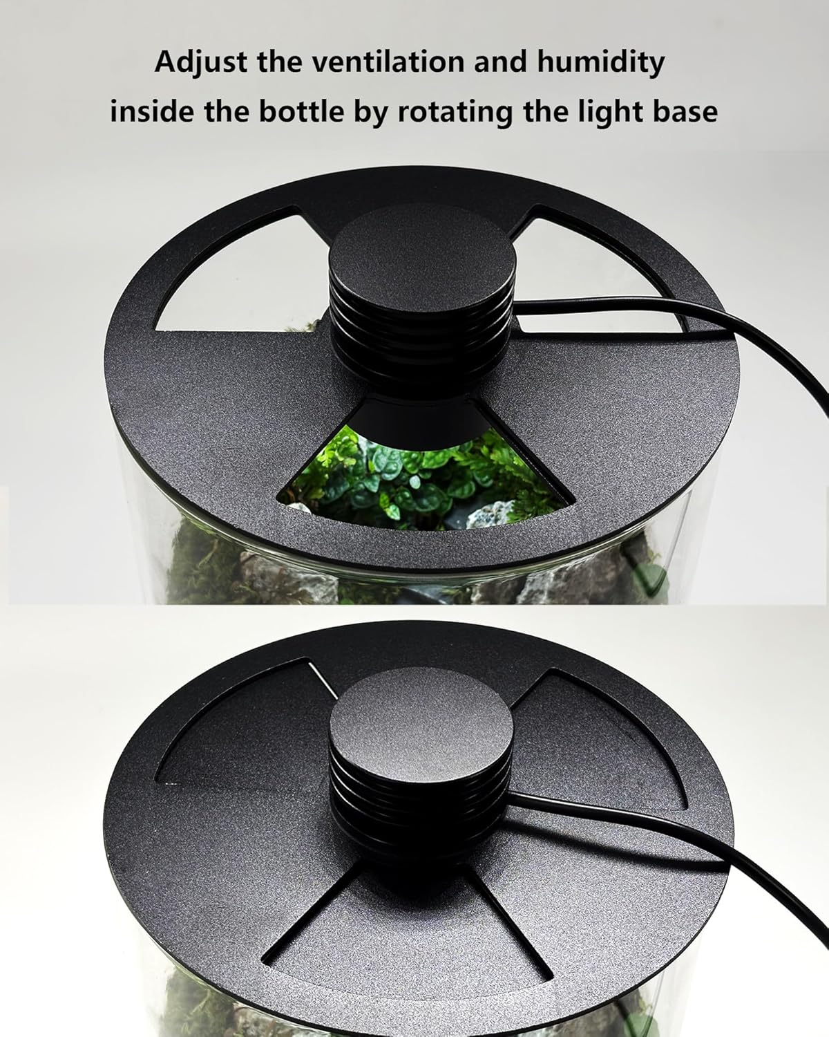 Indoor Glass Terrarium with Gr - огляд і ціна Planted Tank