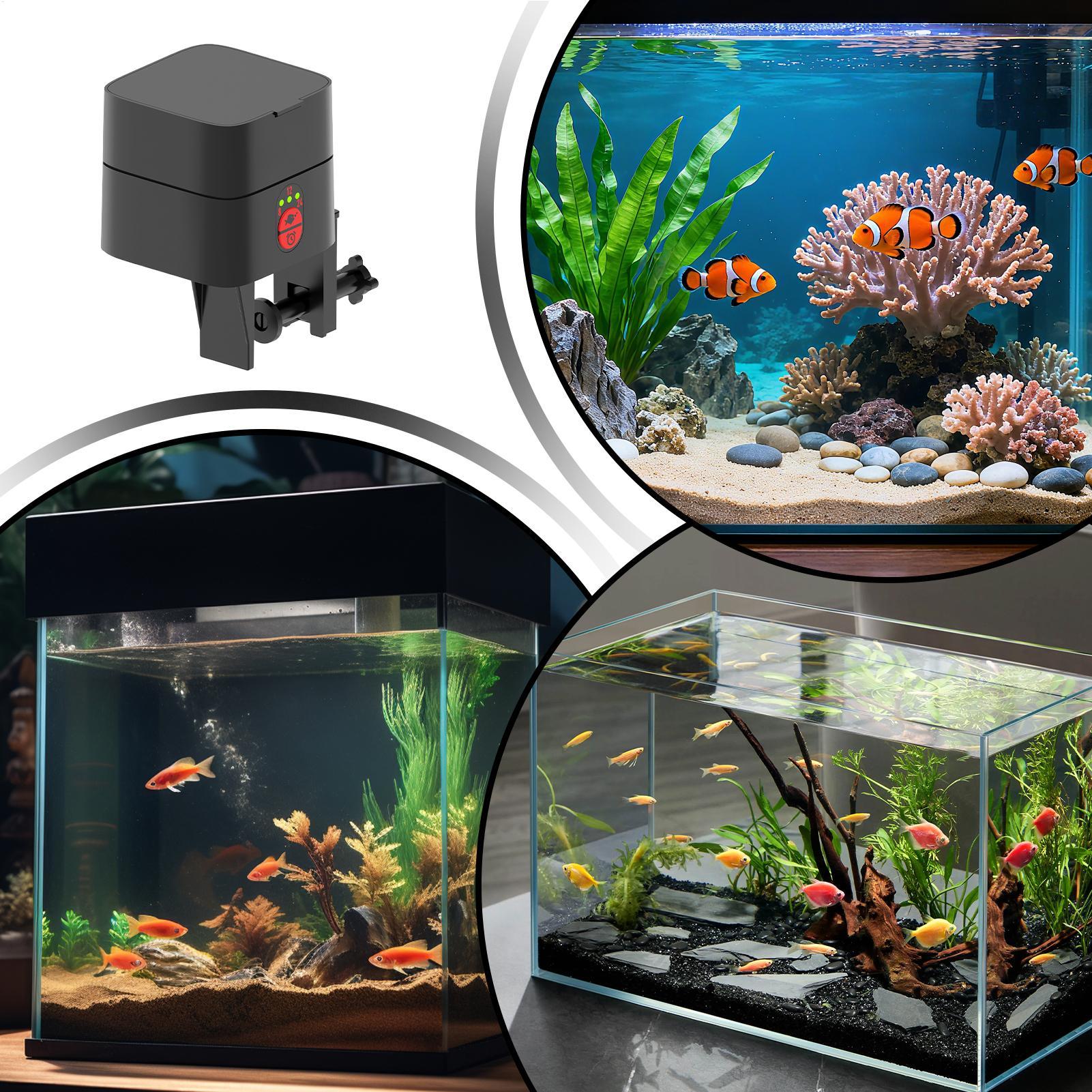 Auto Fish Feeder For Aquarium  - огляд і ціна Aquarium Fertilizer