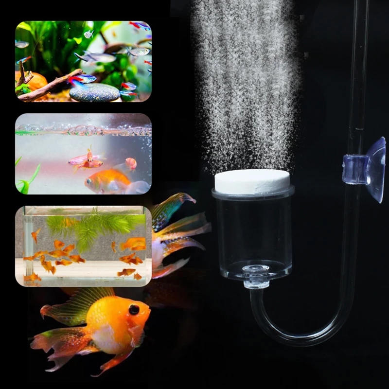 4pcs Set DIY CO2 Diffuser For  - огляд і ціна Aquarium Moss