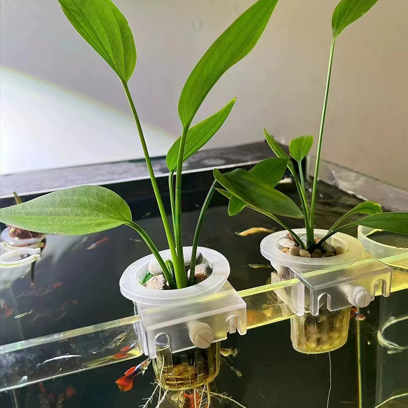 Aquarium Planting Basket Hydro - огляд і ціна Plant Aquarium Pot