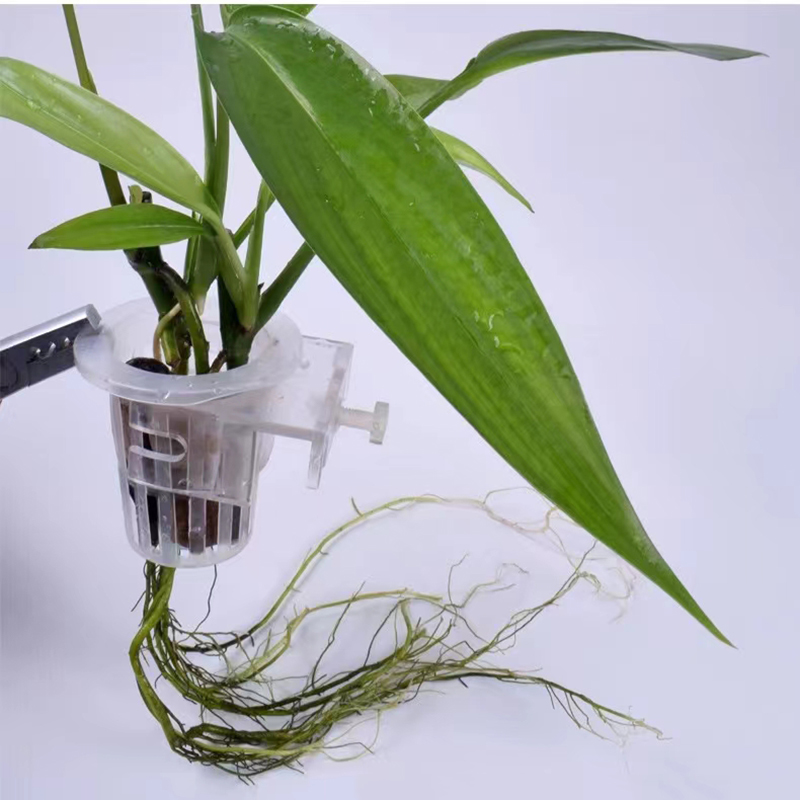 Aquarium Planting Basket Hydro - огляд і ціна Plant Aquarium Pot