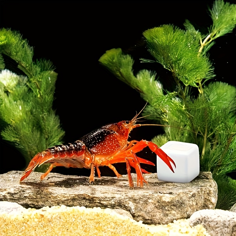 6 Pcs Fish Tank Calcium Block  - огляд і ціна Aquarium Plants Live