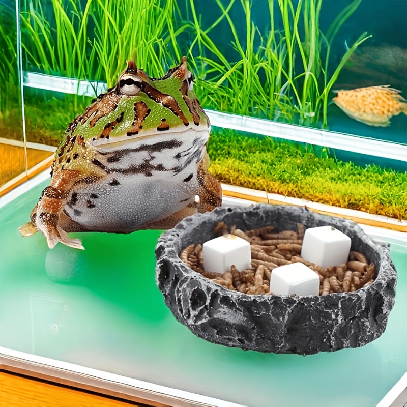 6 Pcs Fish Tank Calcium Block  - огляд і ціна Aquarium Plants Live