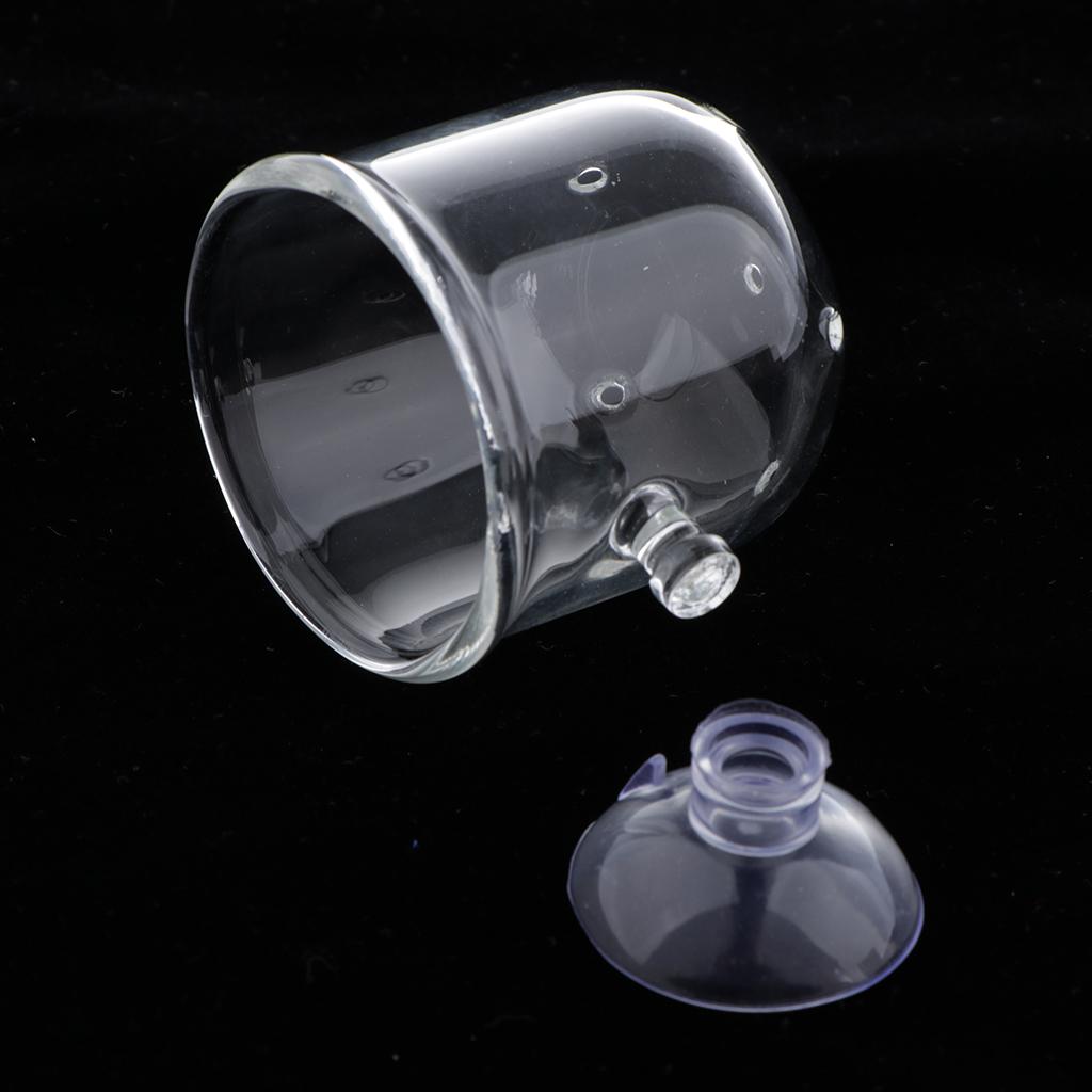 Fish Feeding Basket Glass Aqua - огляд і ціна Live Plant Aquarium