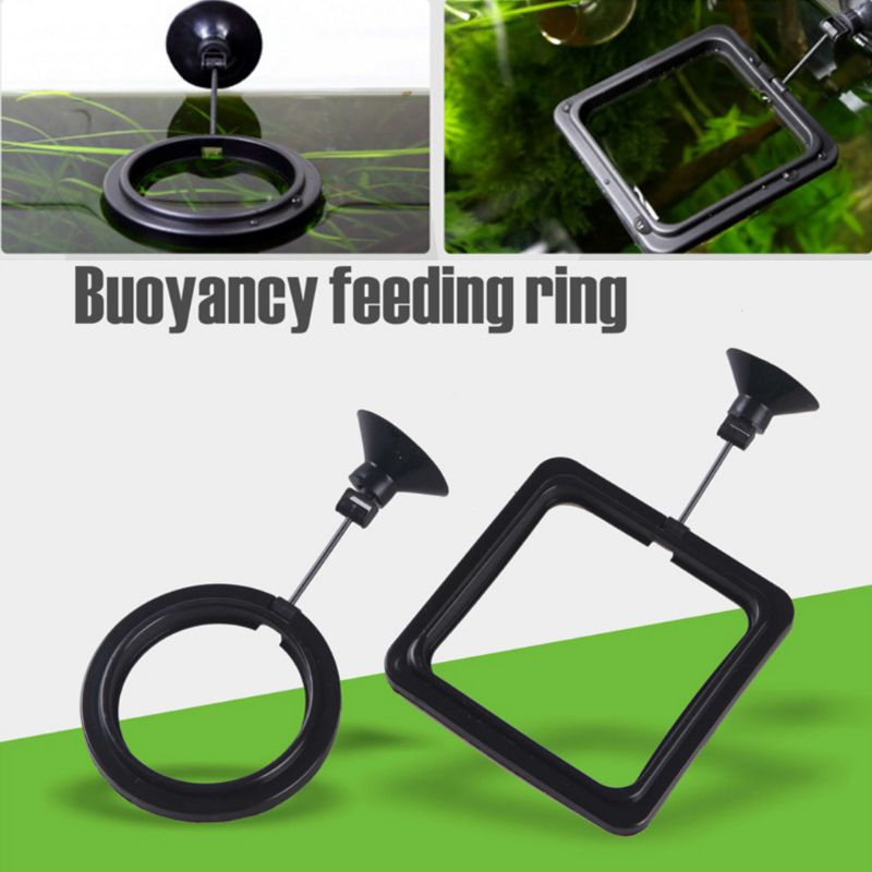 Aquarium Fish Feeding Ring Fis - огляд і ціна Aquarium Fertilizer