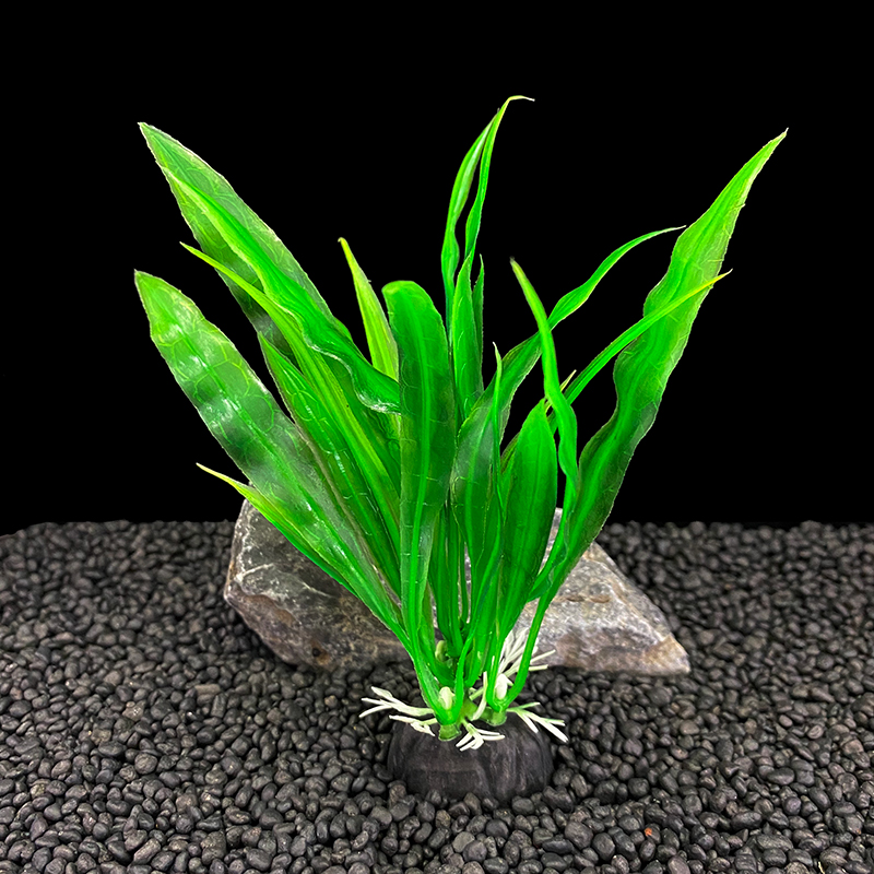6pcs Packs Aquarium Plants, Fi - огляд і ціна Live Plant Aquarium
